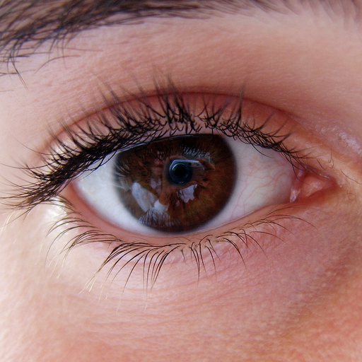 My Little Eye app icon